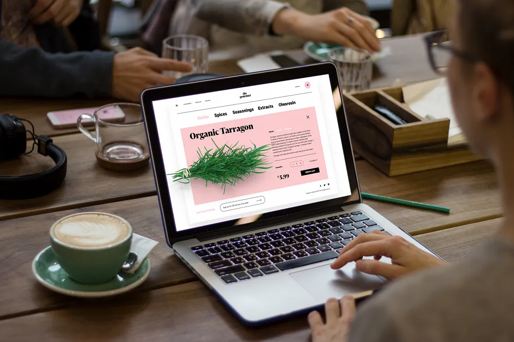 paginas-web-conversiones